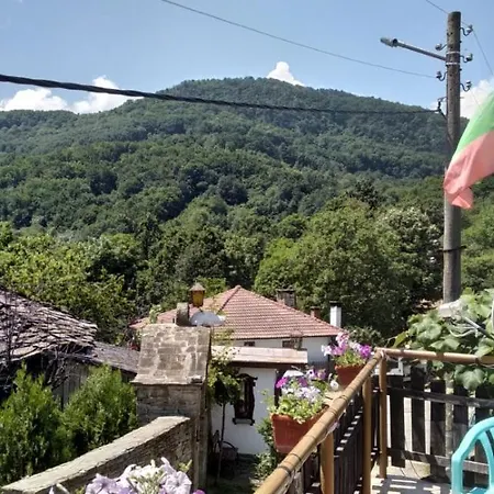 Къща За Гости Вила Александра Hytte *